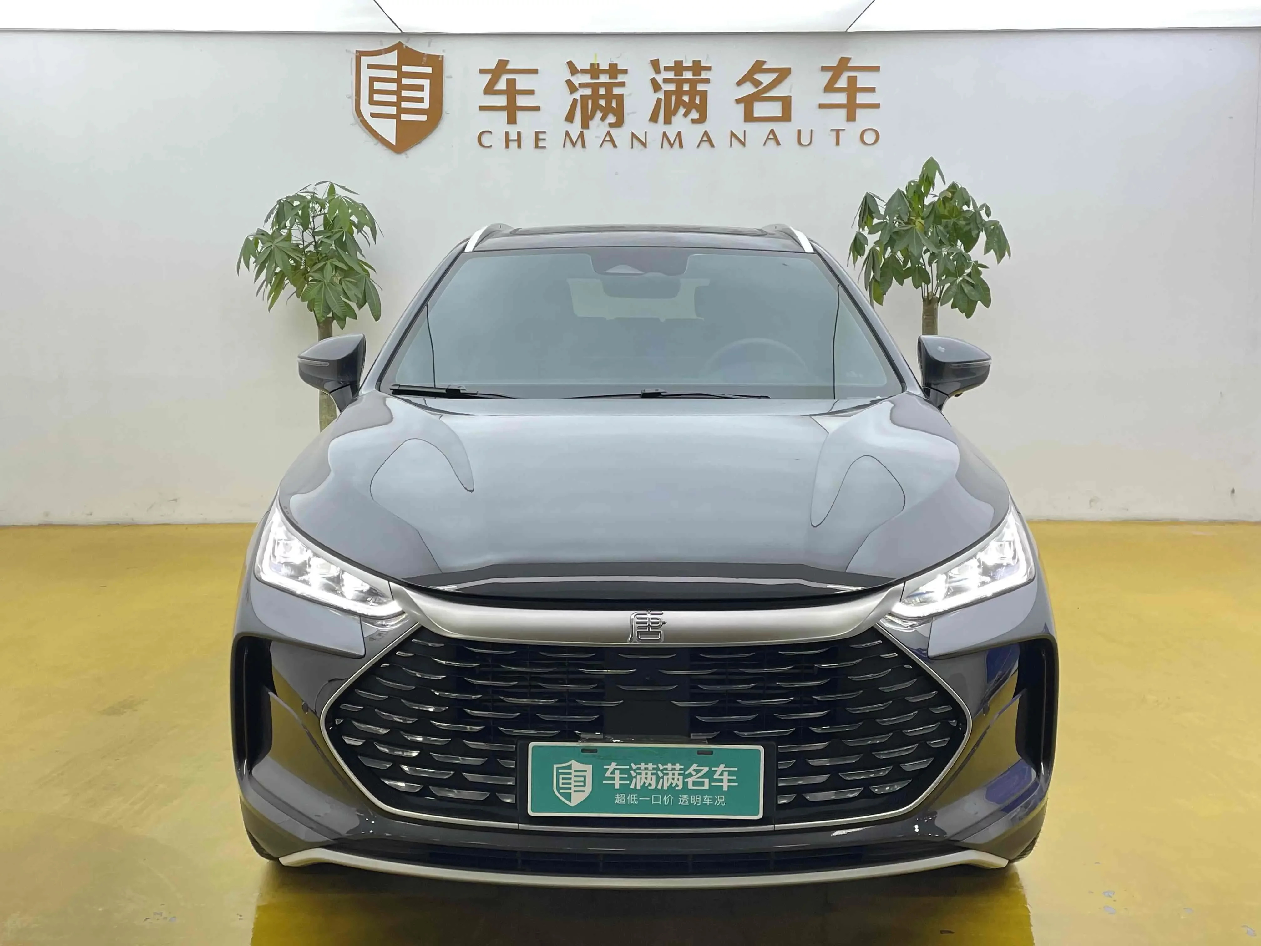 BYD Tang DM