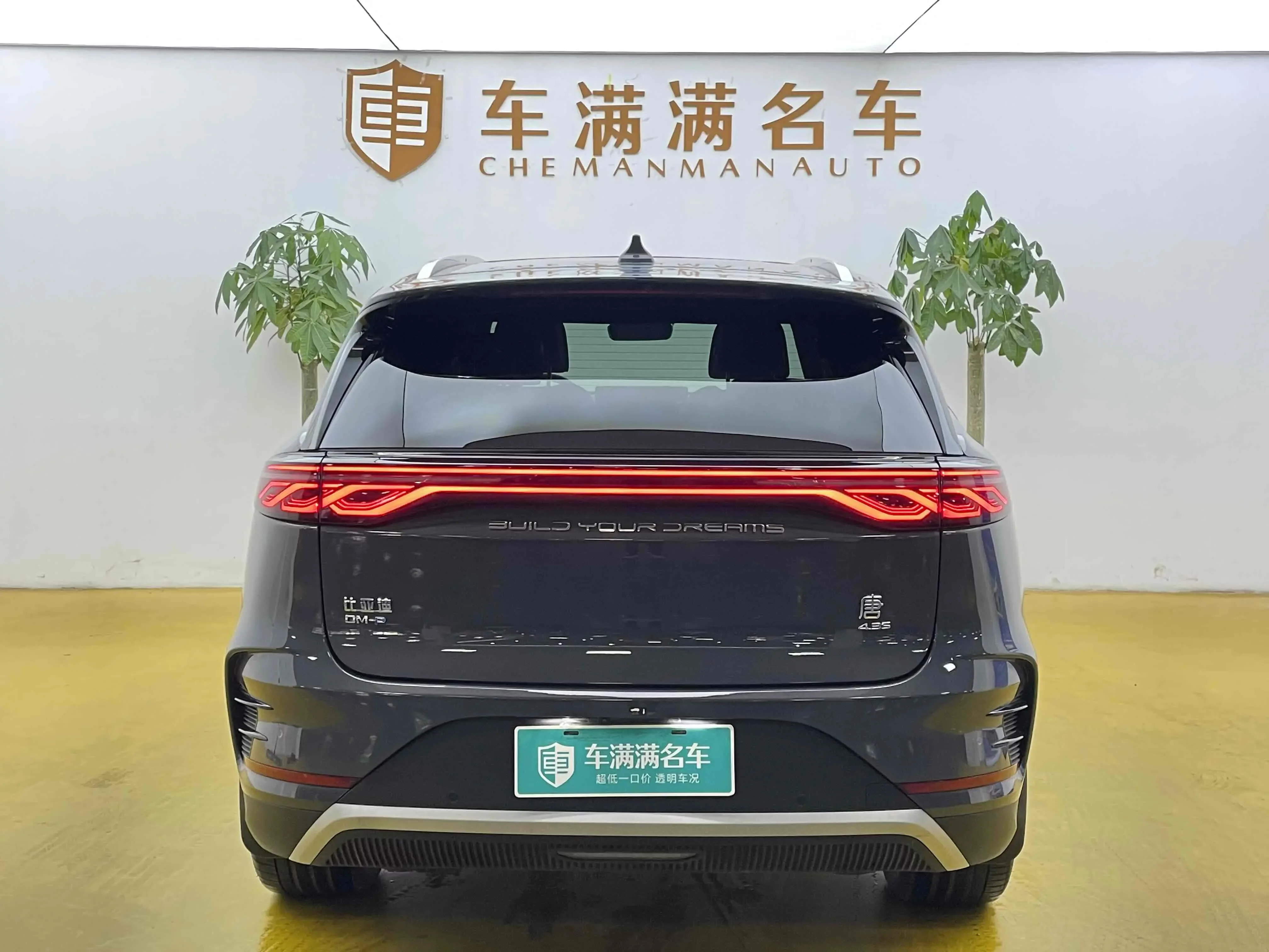 BYD Tang DM