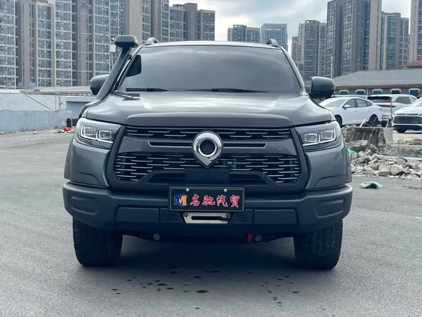 Great Wall gun
