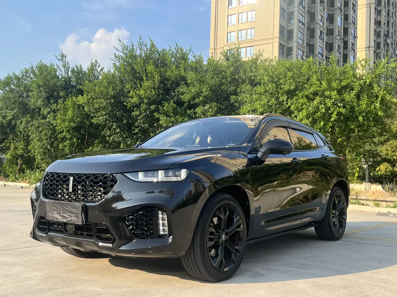 Wey Wei brand VV7