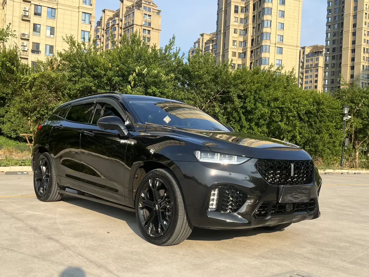 Wey Wei brand VV7