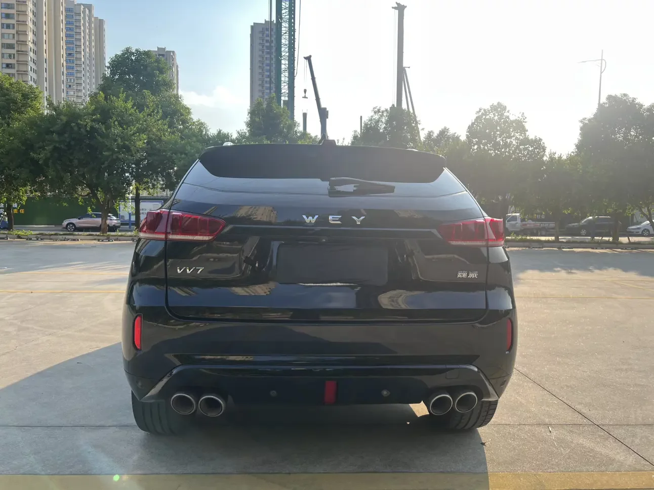 Wey Wei brand VV7