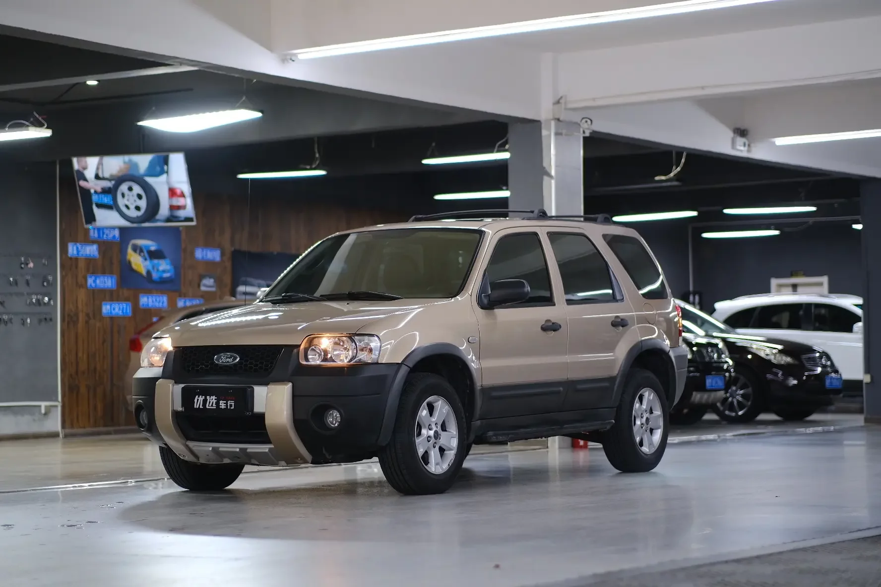 Ford Ruiji (imported)