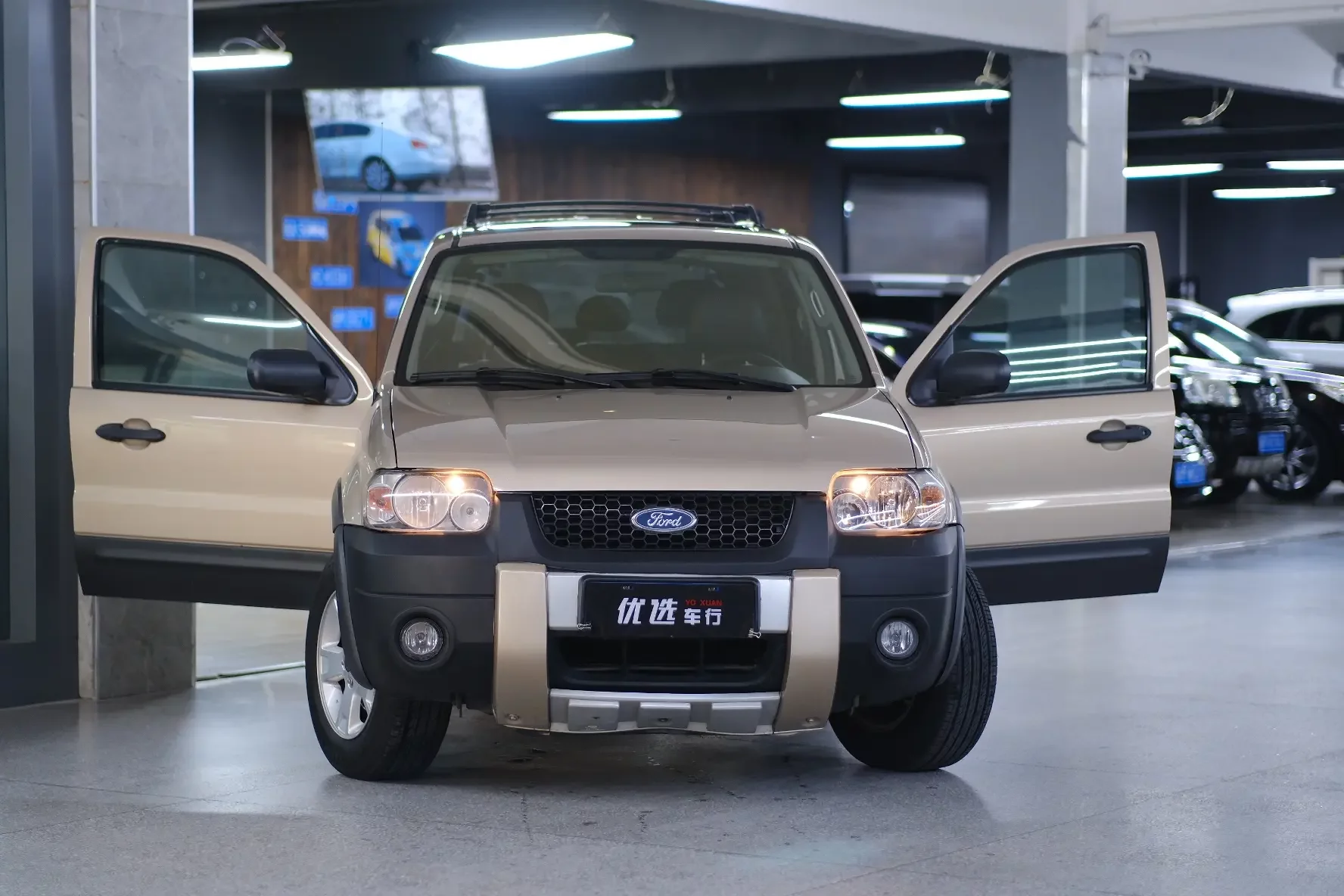 Ford Ruiji (imported)
