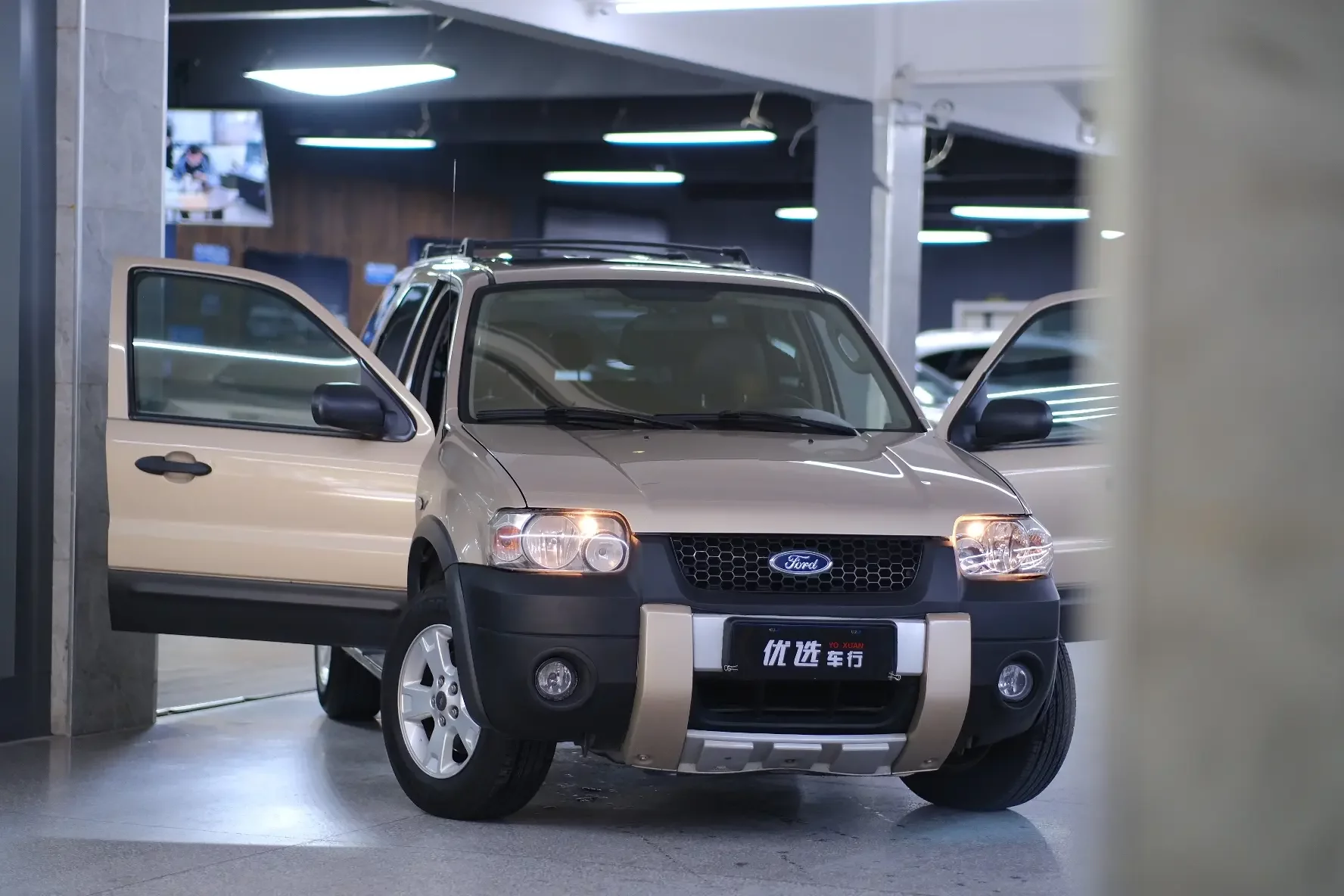 Ford Ruiji (imported)