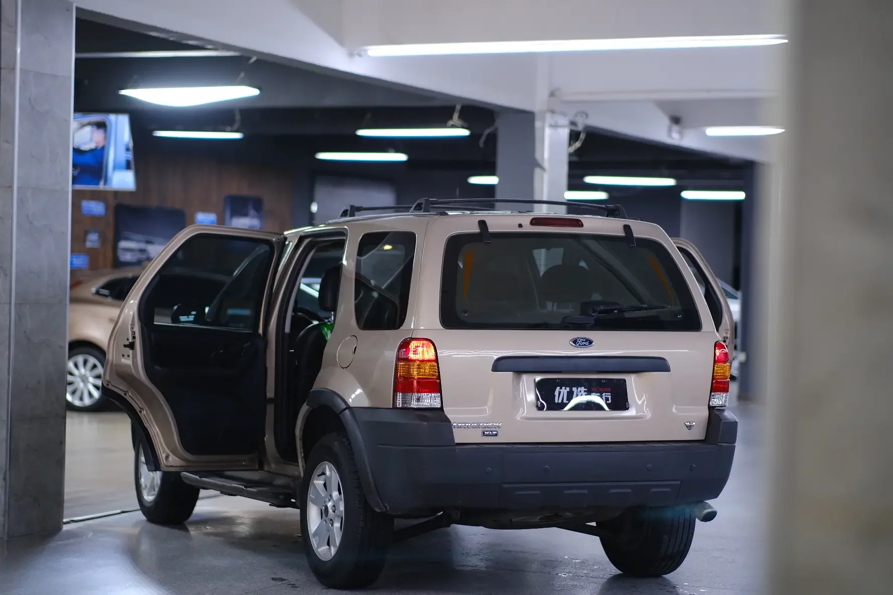 Ford Ruiji (imported)