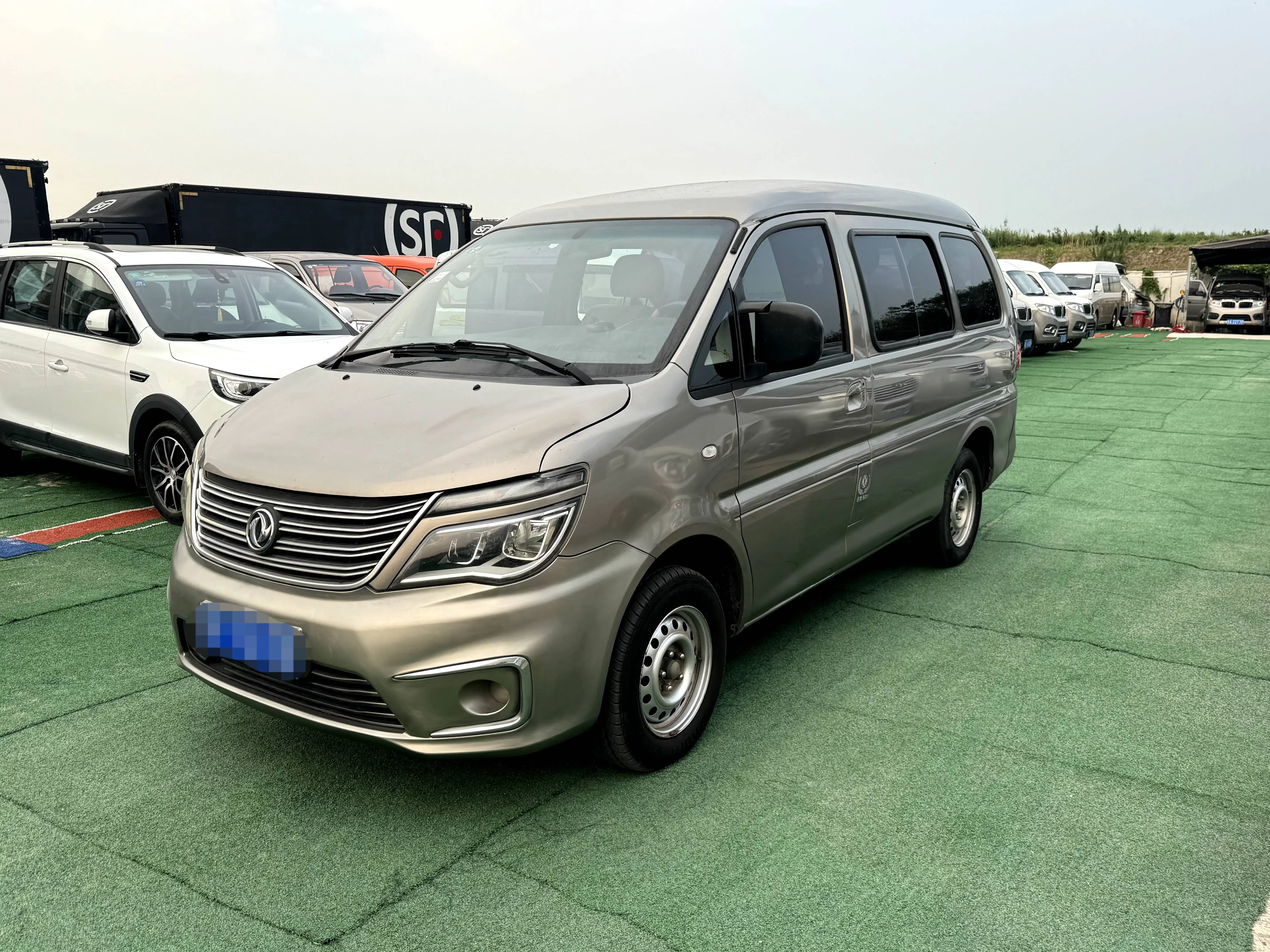 Forthing Lingzhi