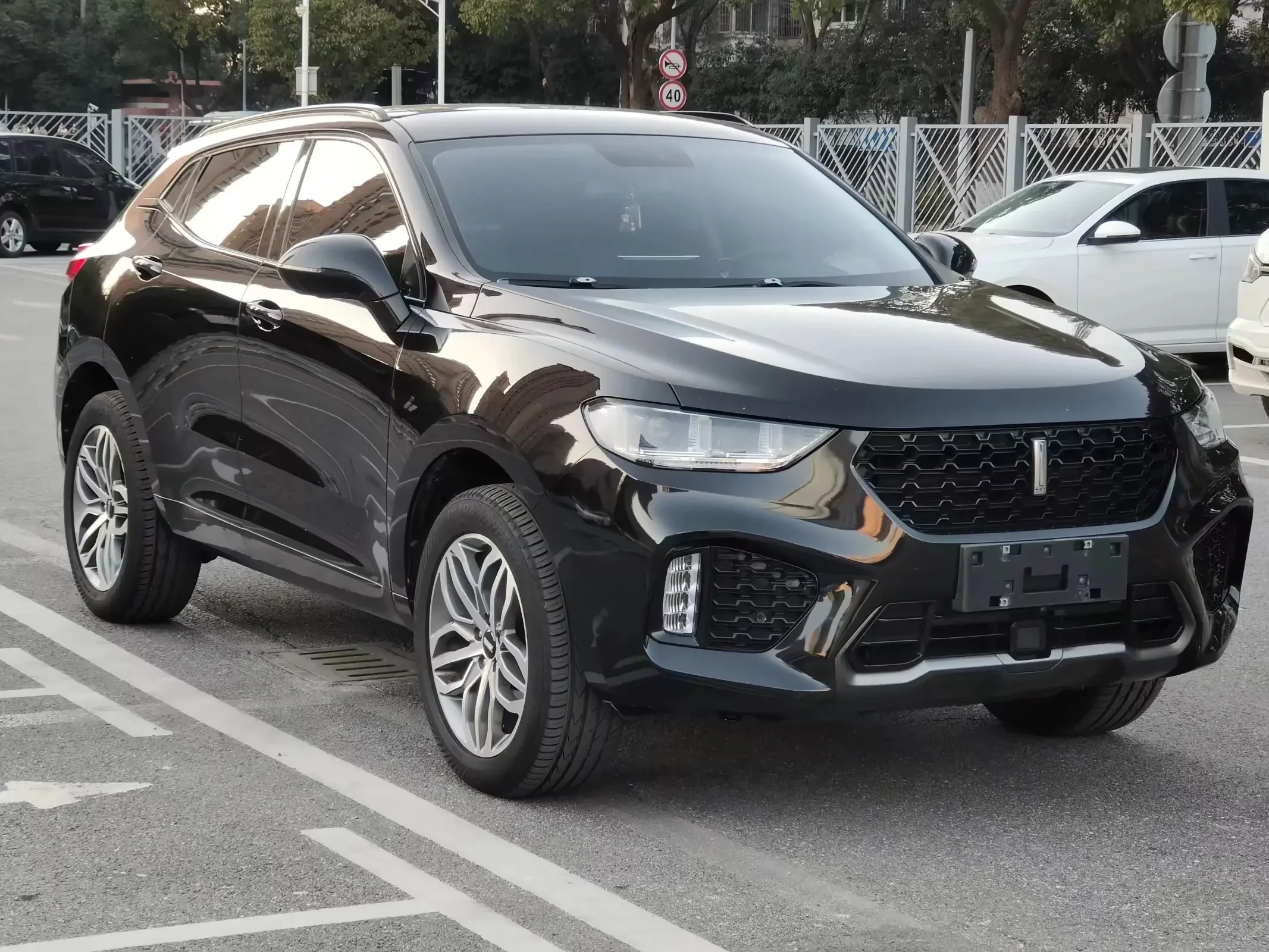 Wey Wei brand VV5