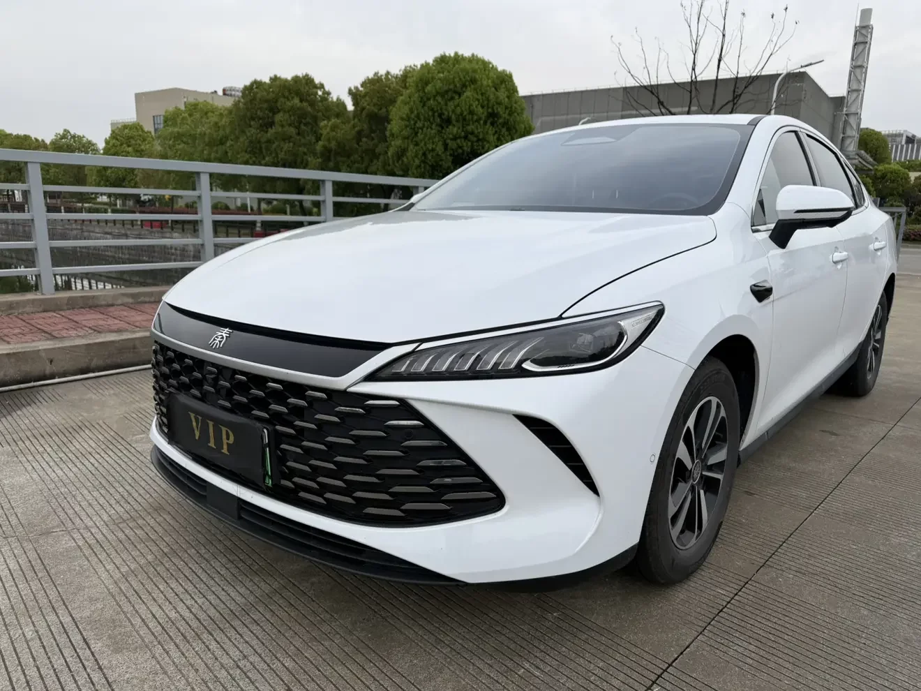 BYD Qin PLUS DM