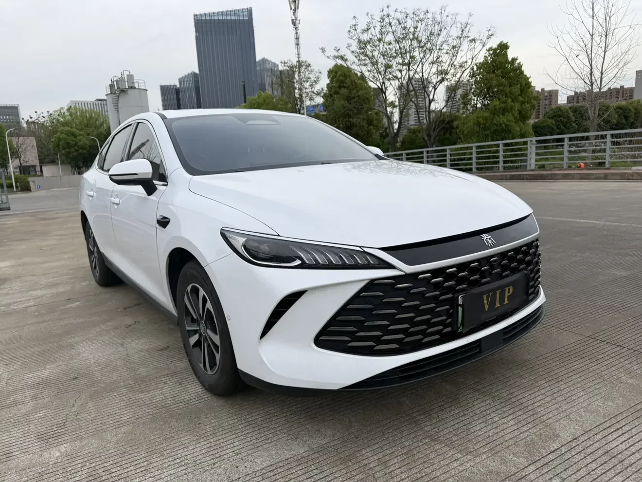 BYD Qin PLUS DM