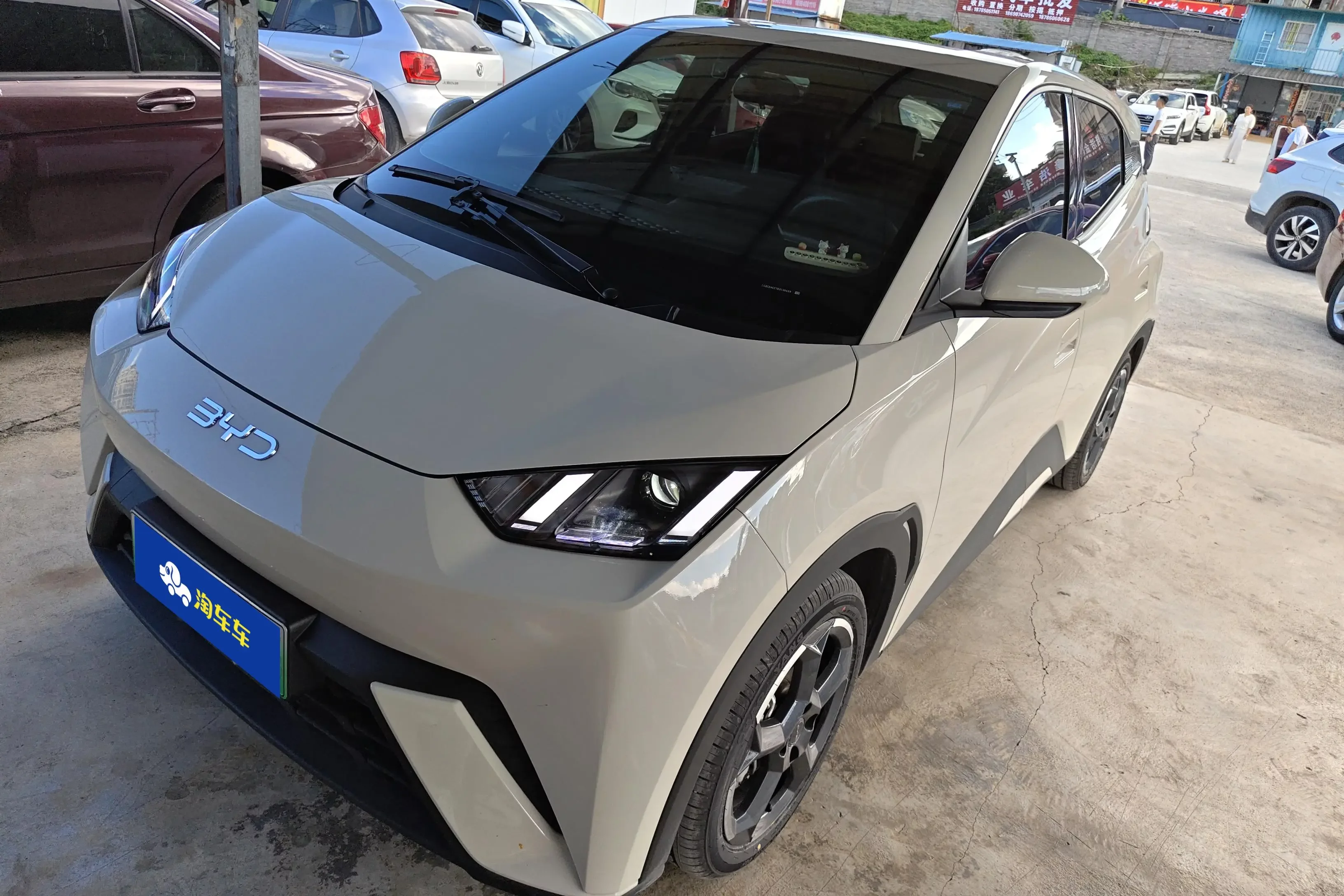 BYD seagull