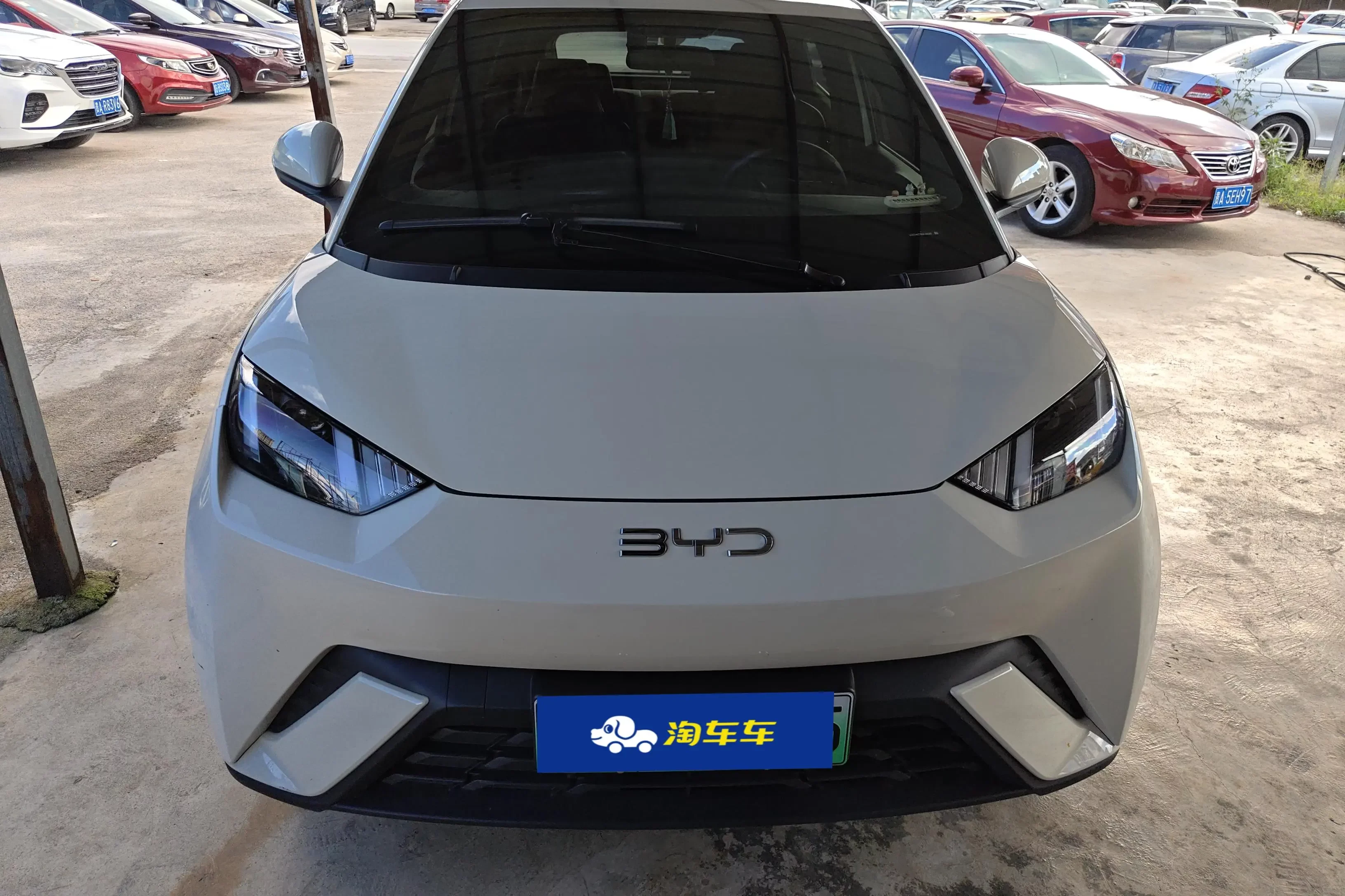 BYD seagull