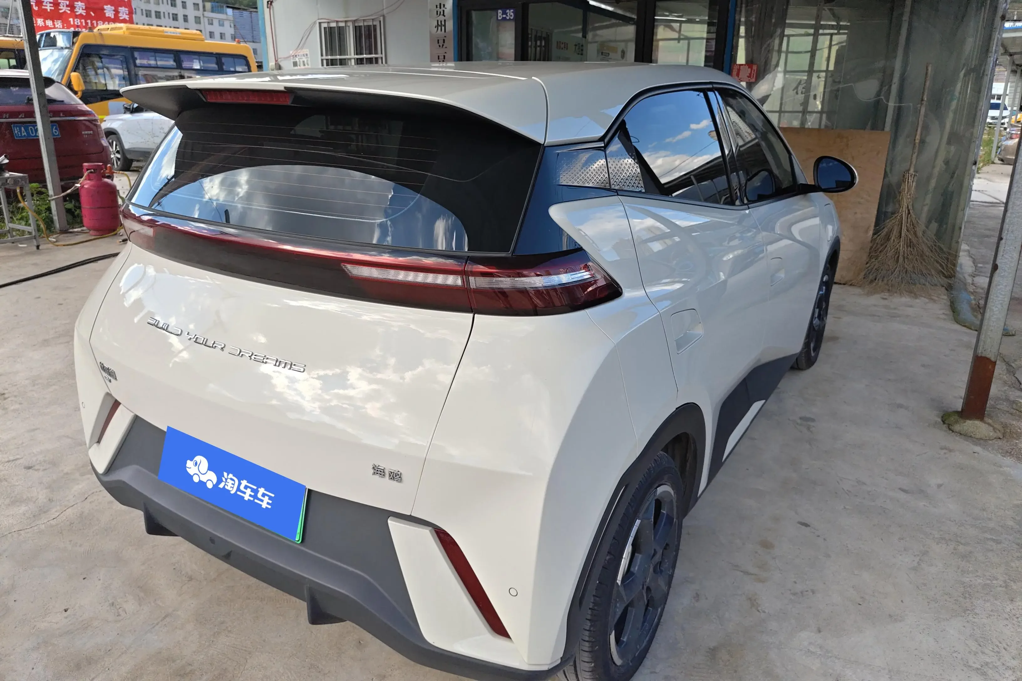 BYD seagull