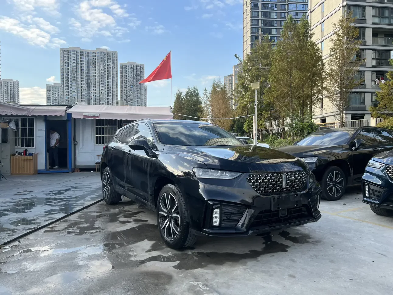 Wey Wei brand VV7
