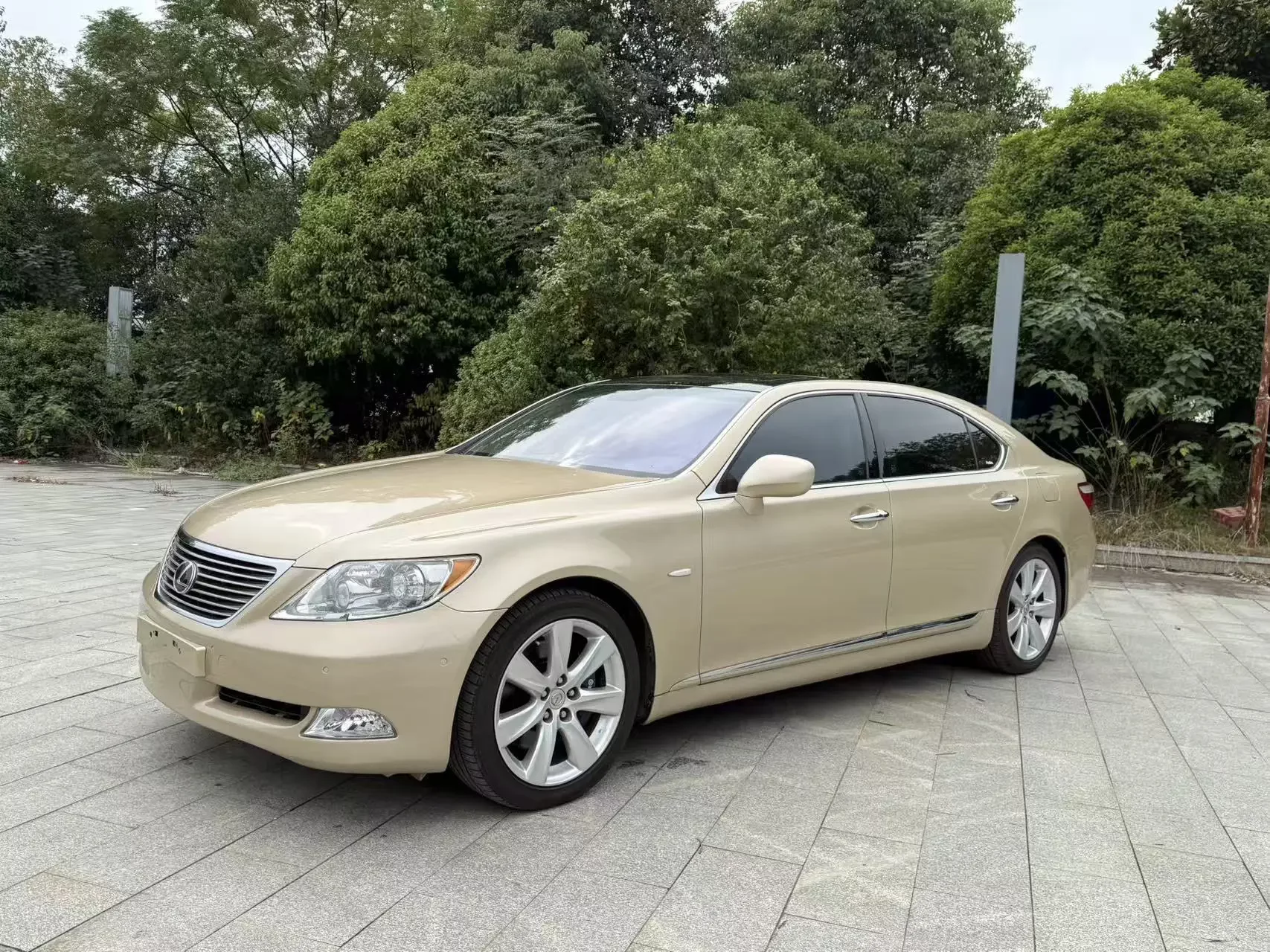 Lexus LS