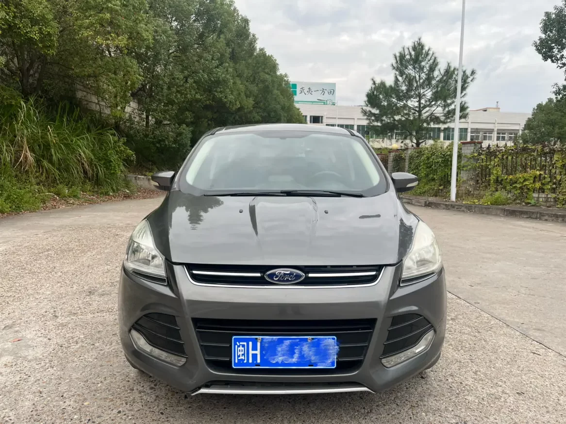 Ford wing tiger