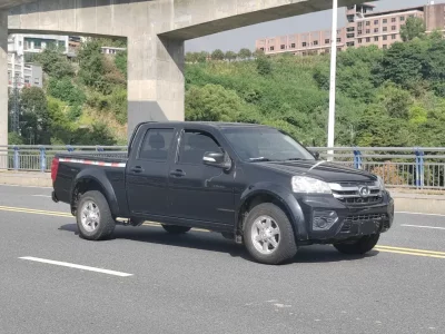 Great Wall Wing Jun 5