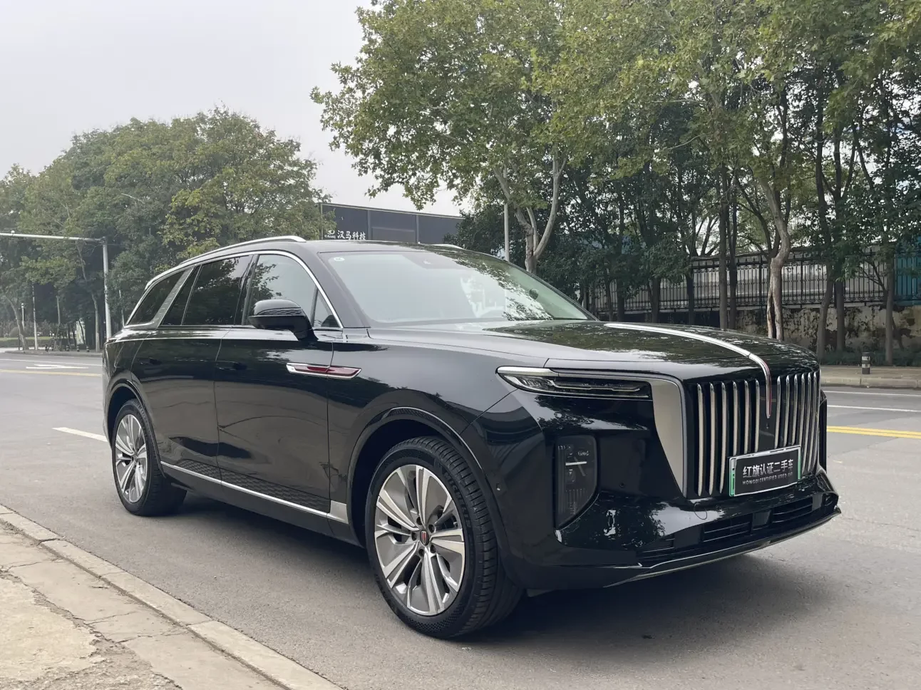 Hongqi E-HS9