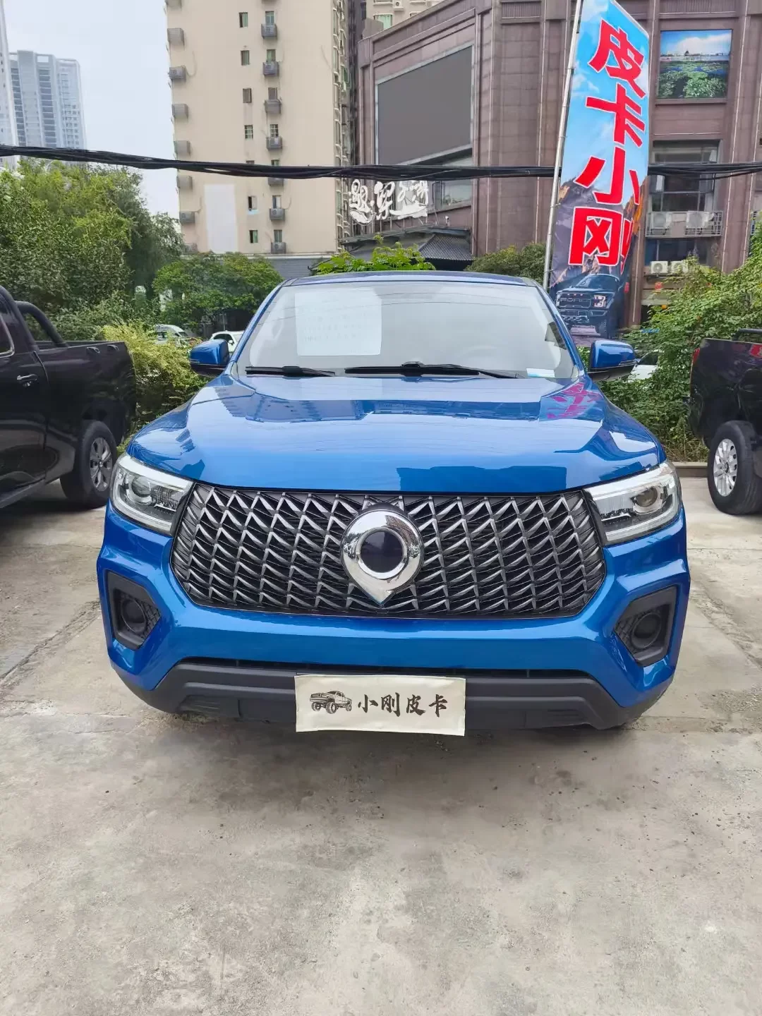 Great Wall gun