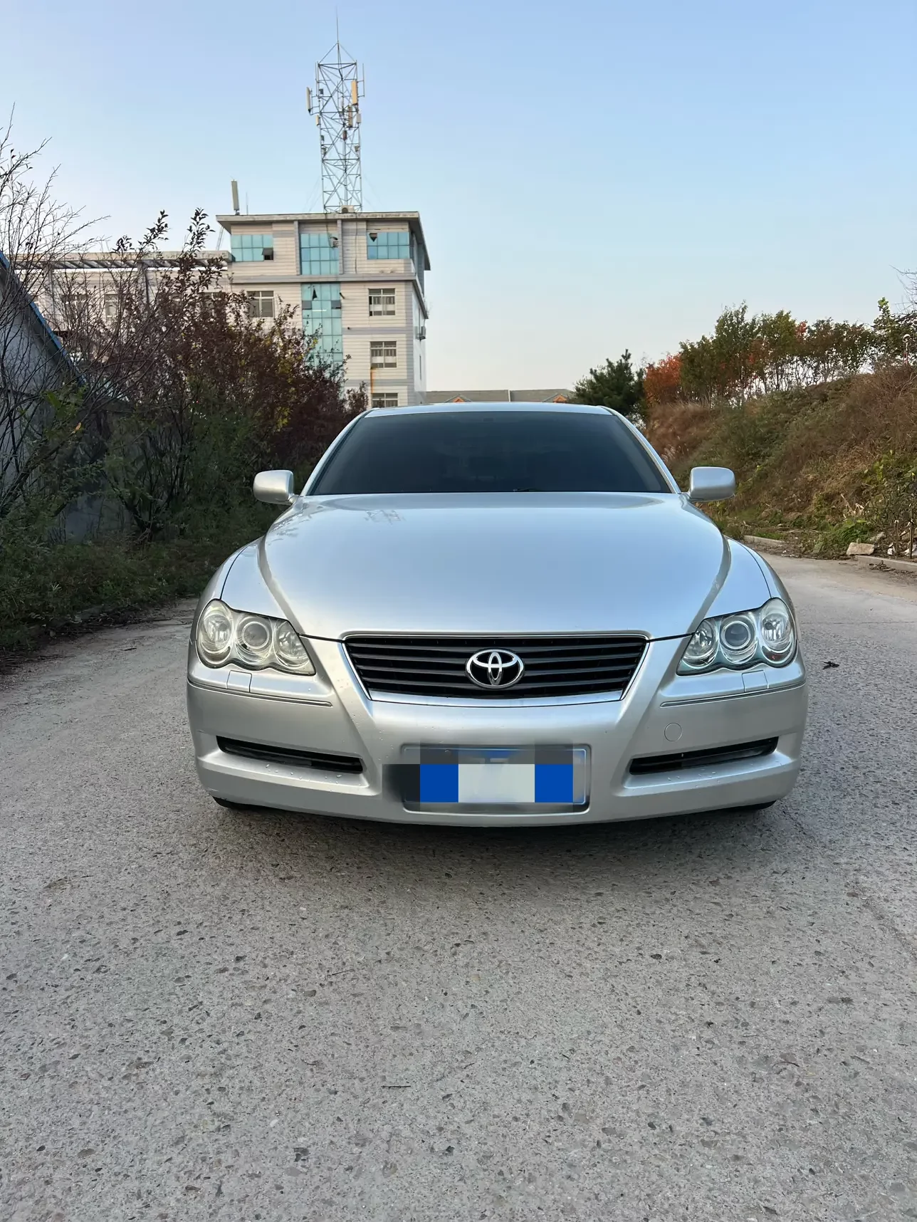 Toyota Ruizhi