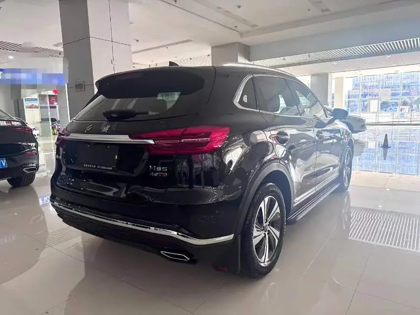 Hongqi HS5