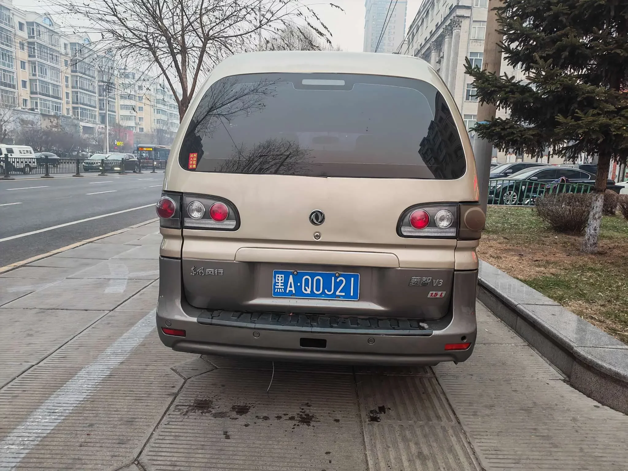 Forthing Lingzhi