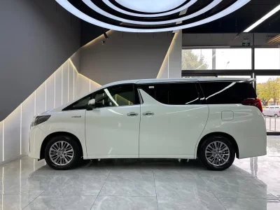 Toyota Elfa