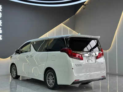 Toyota Elfa