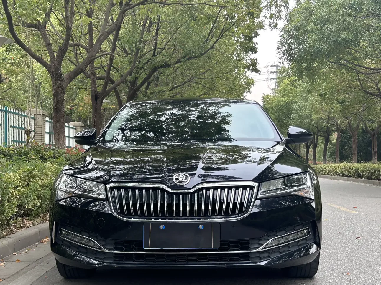 Skoda Speedy