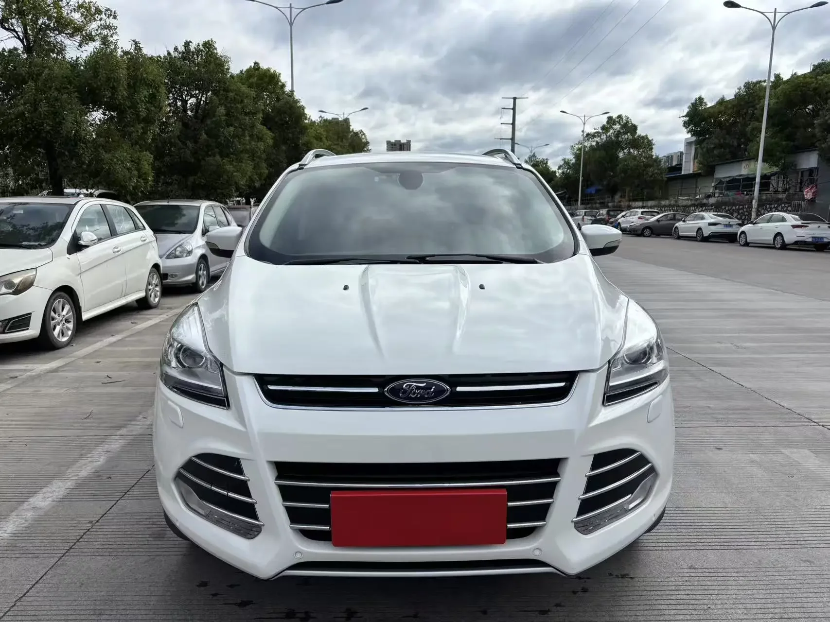 Ford wing tiger