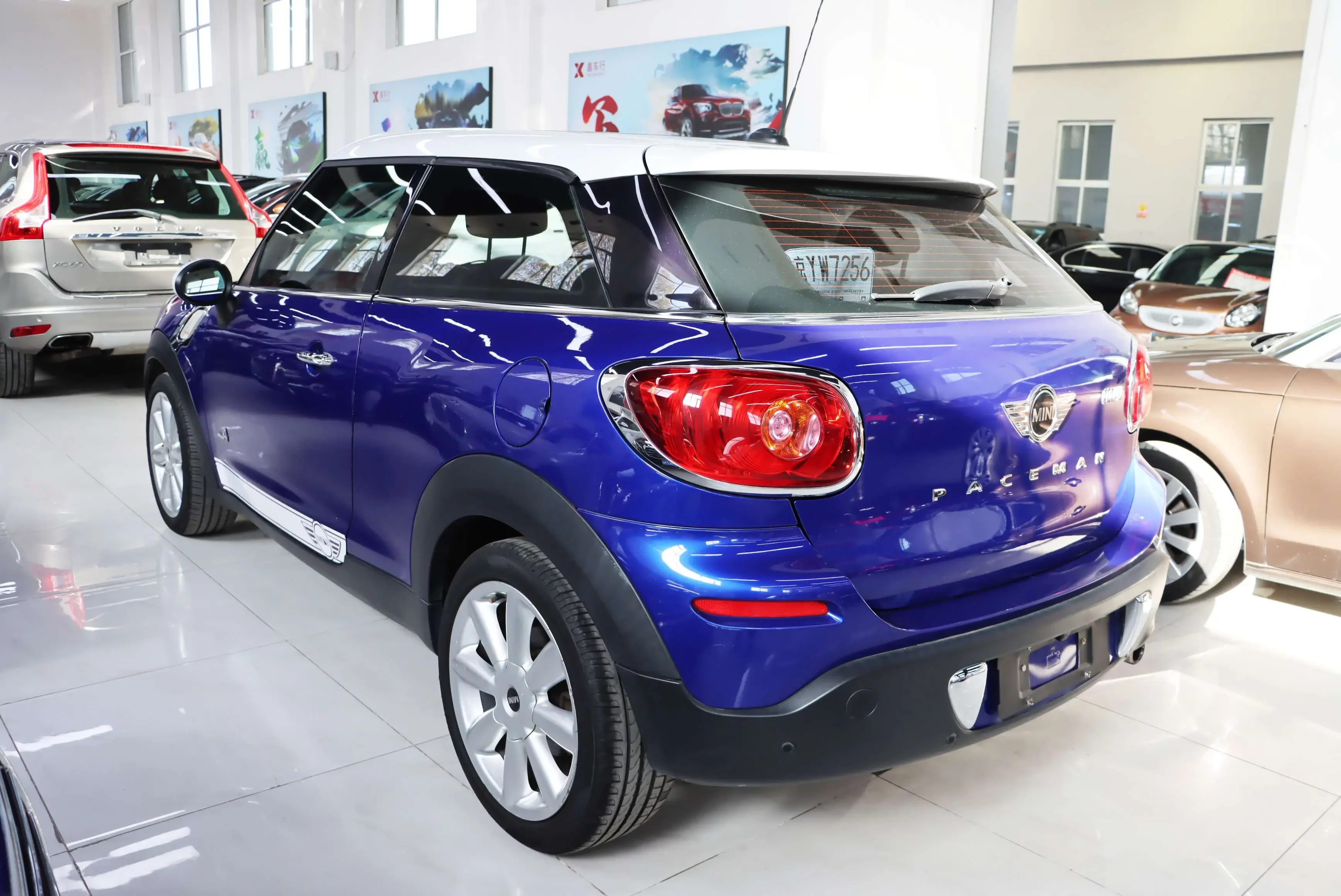 MINI PACEMAN
