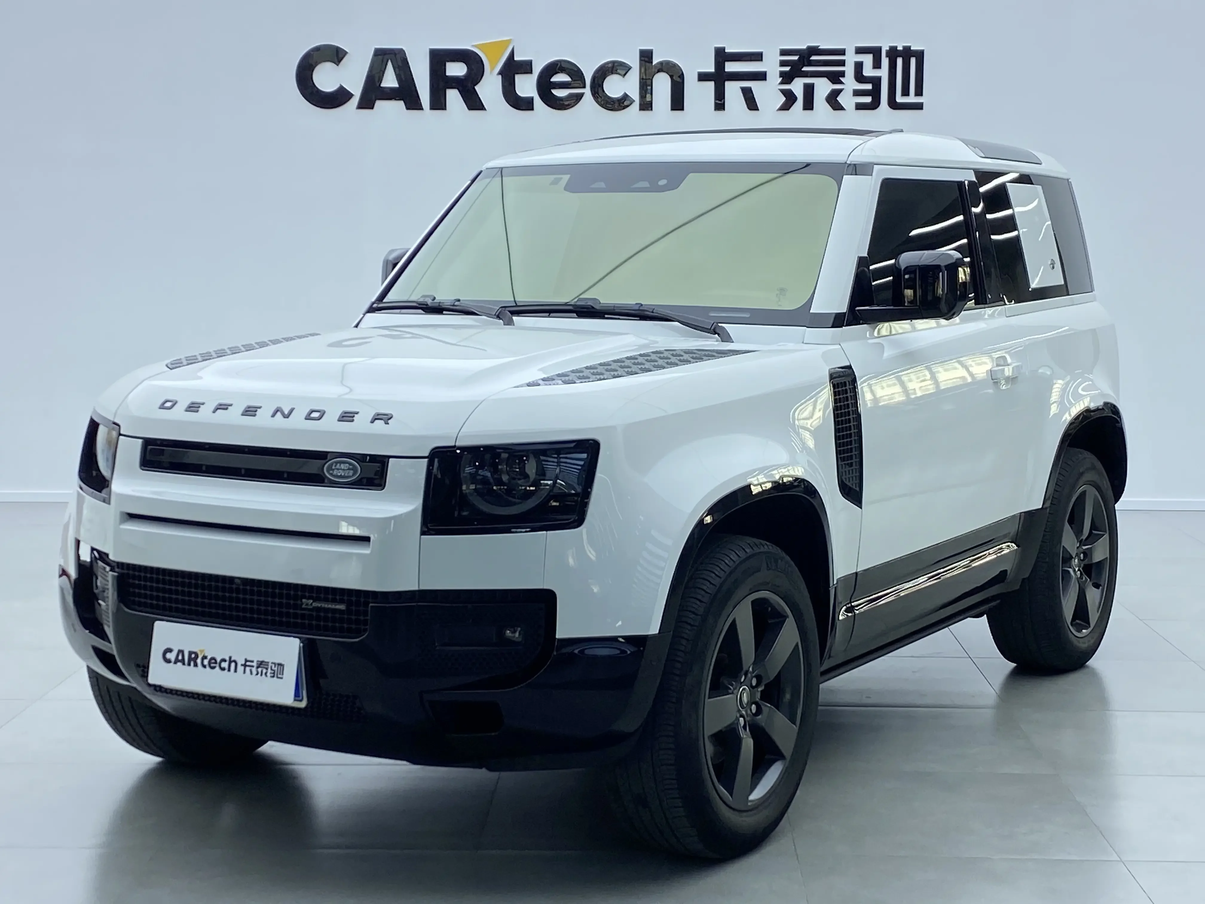 Land Rover guard
