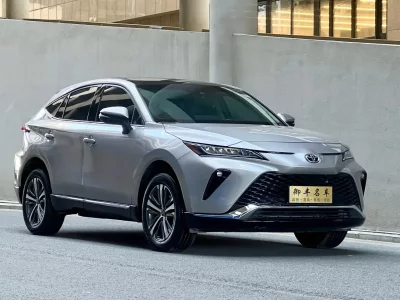 Toyota Venza (Wei Sa)