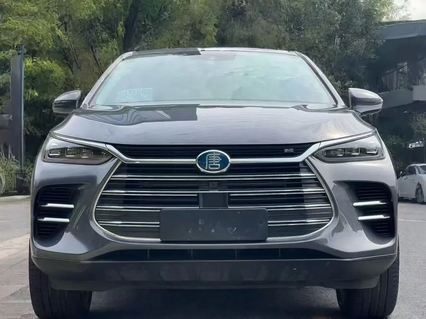 BYD Tang DM