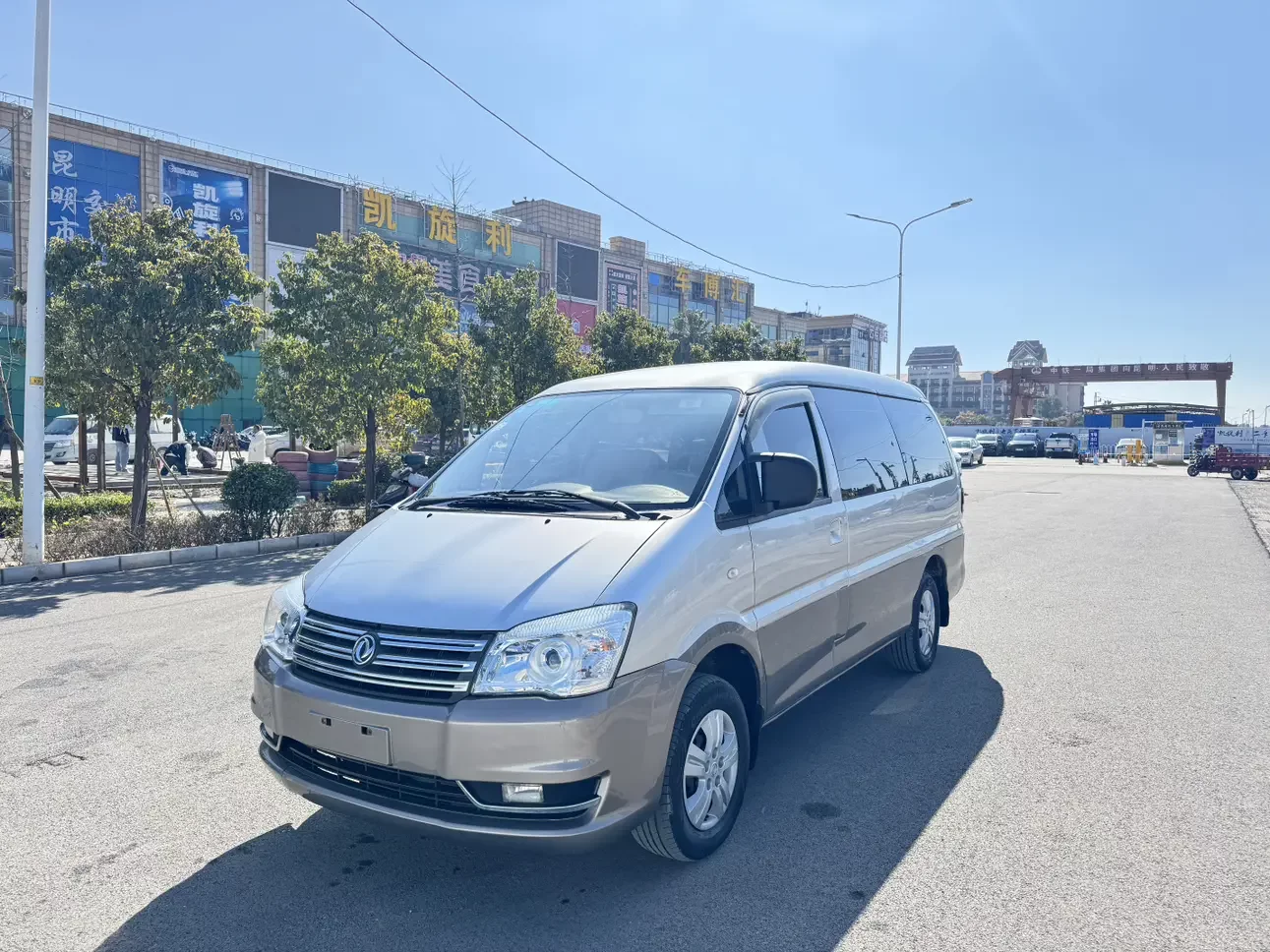 Forthing Lingzhi