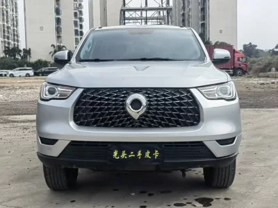 Great Wall Poer (gun)
