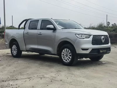 Great Wall Poer (gun)