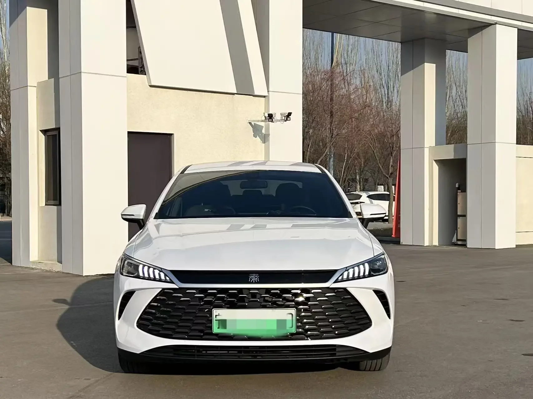 BYD Qin PLUS DM