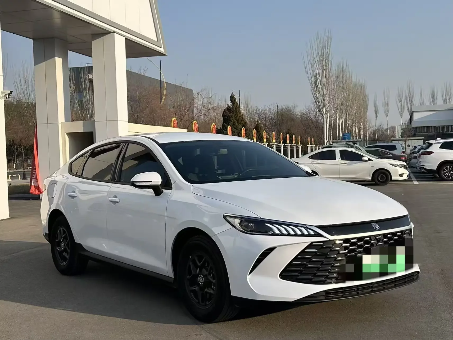 BYD Qin PLUS DM