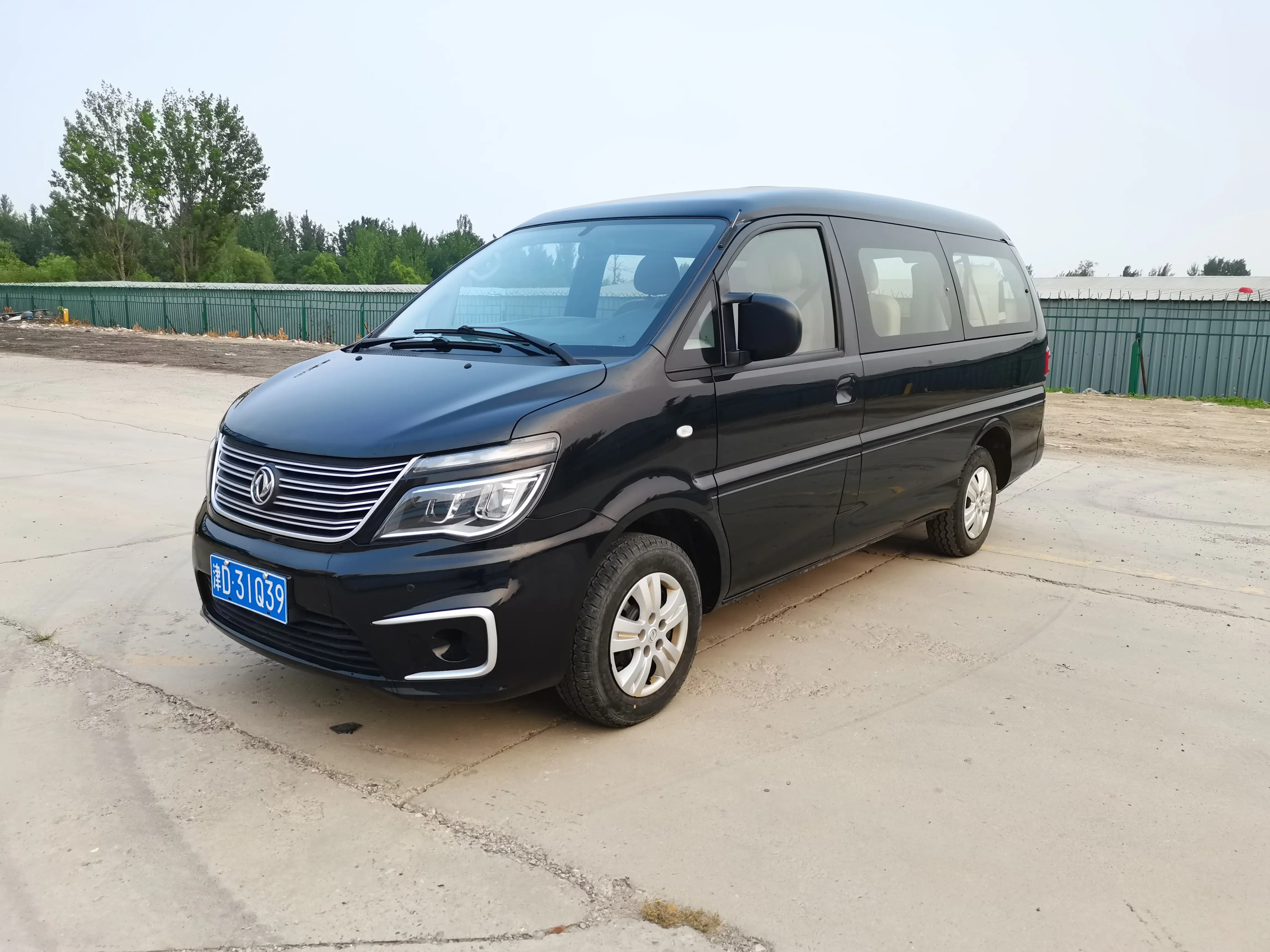 Forthing Lingzhi