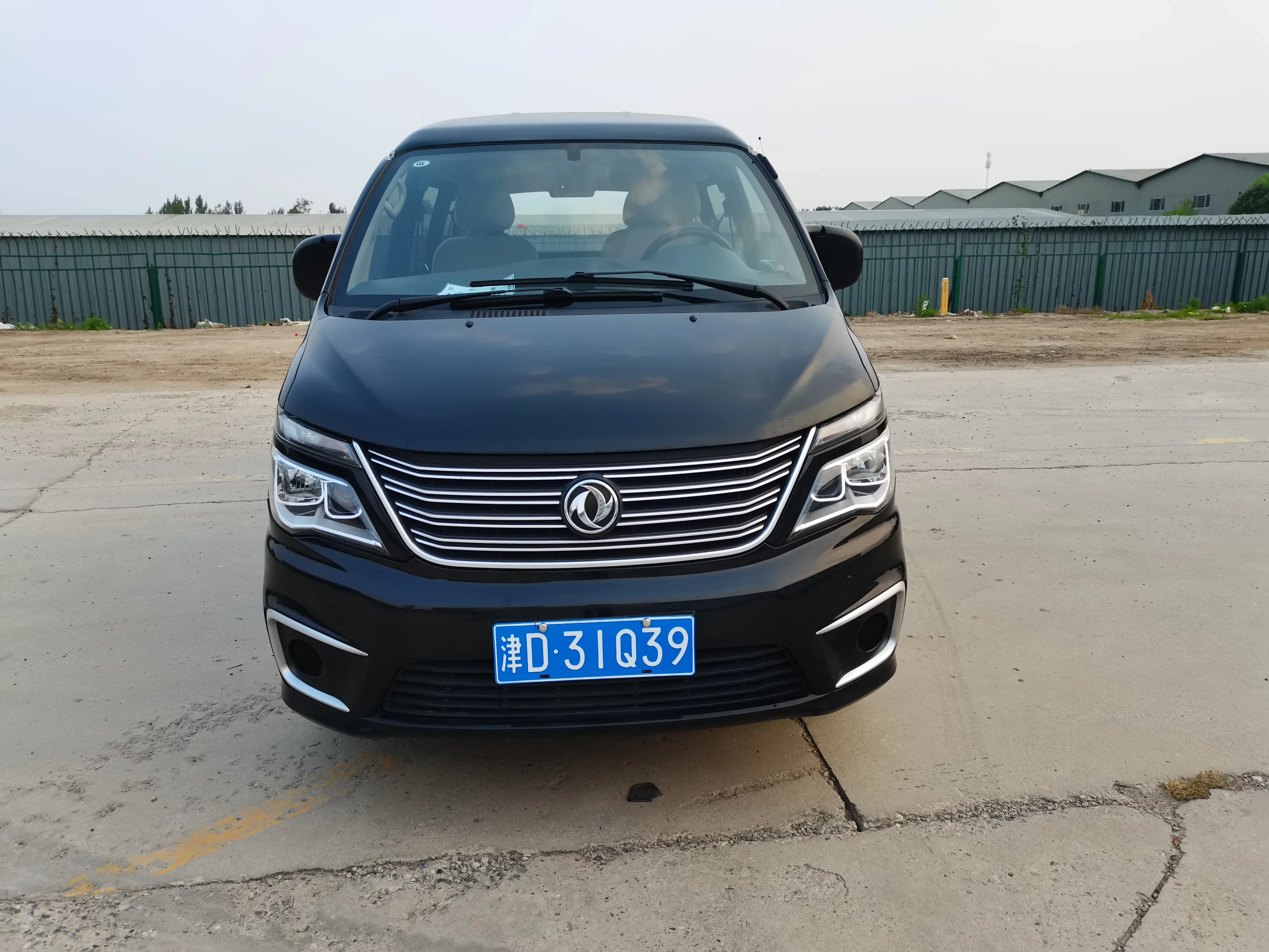Forthing Lingzhi