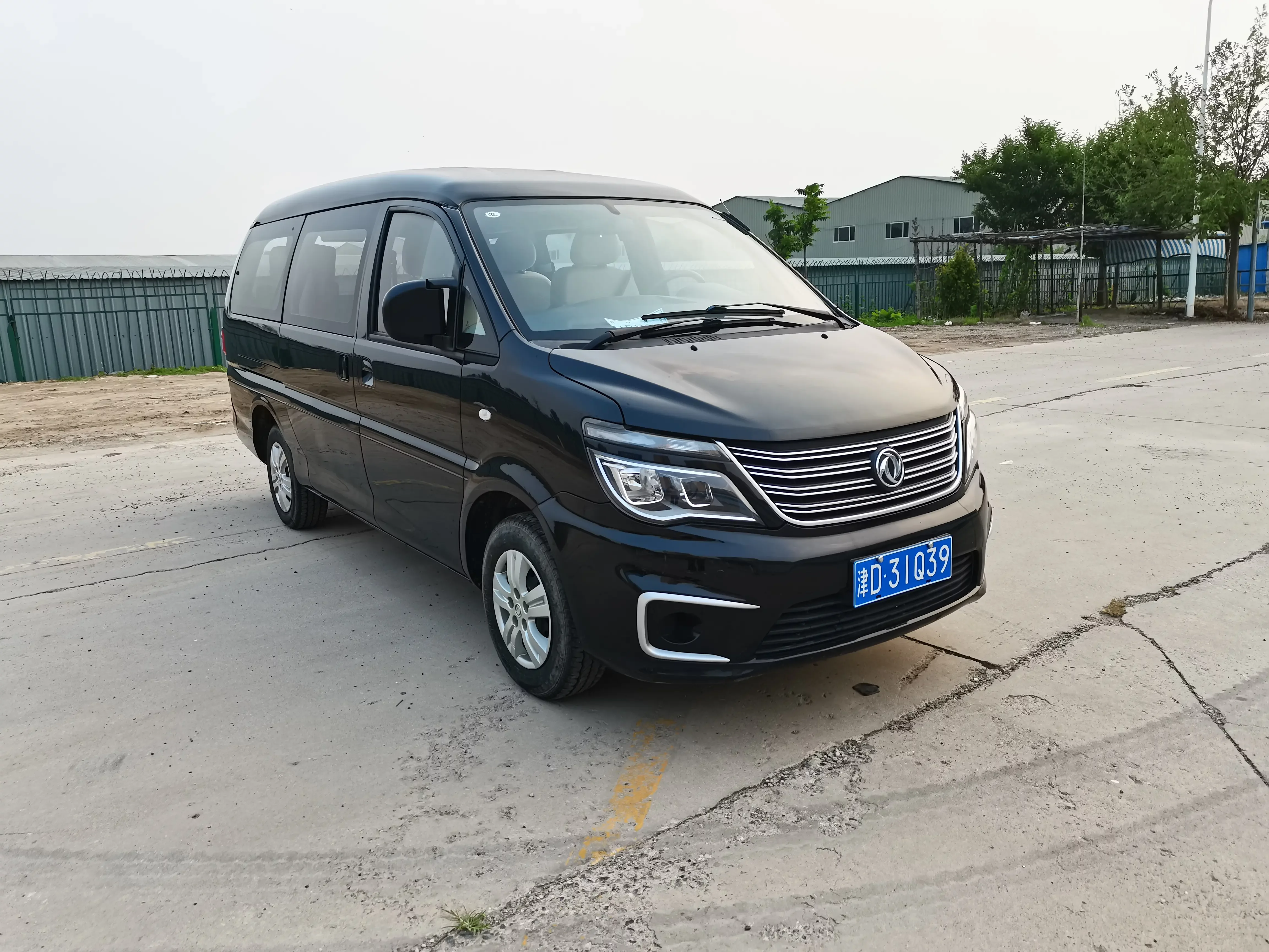 Forthing Lingzhi