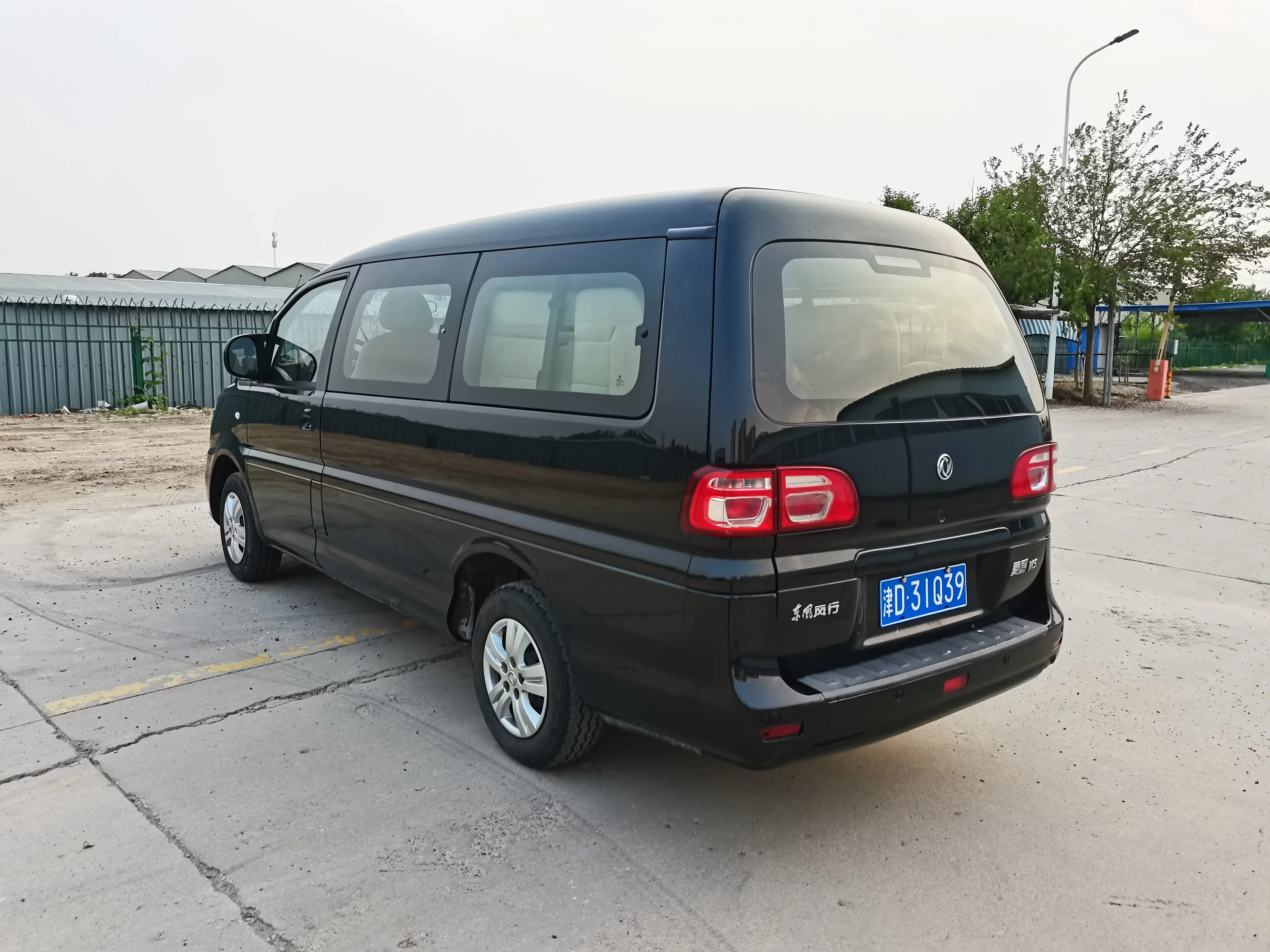 Forthing Lingzhi