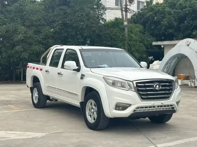 Great Wall Wing Jun 6