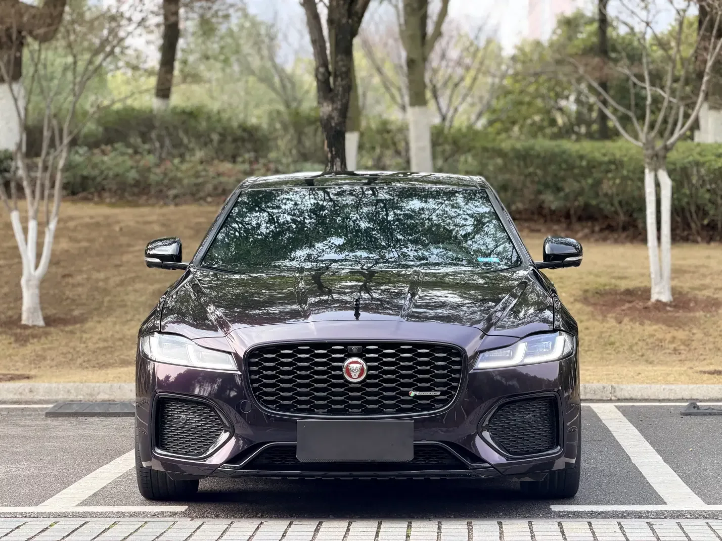 Jaguar XFL