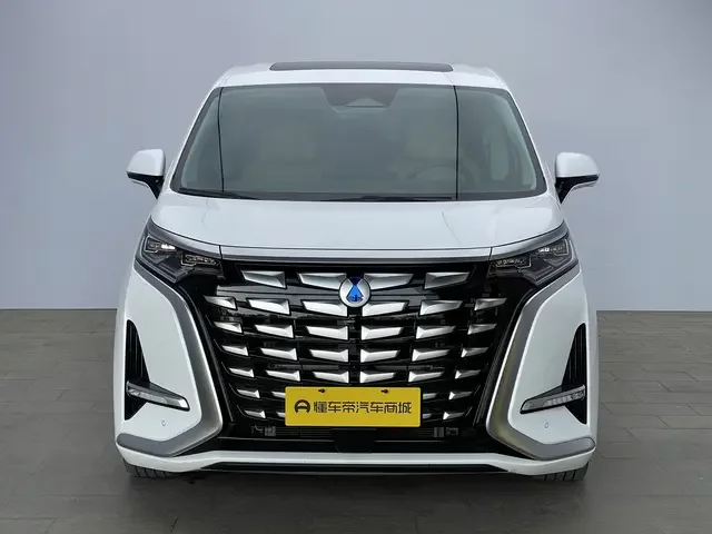 Denza D9 DM