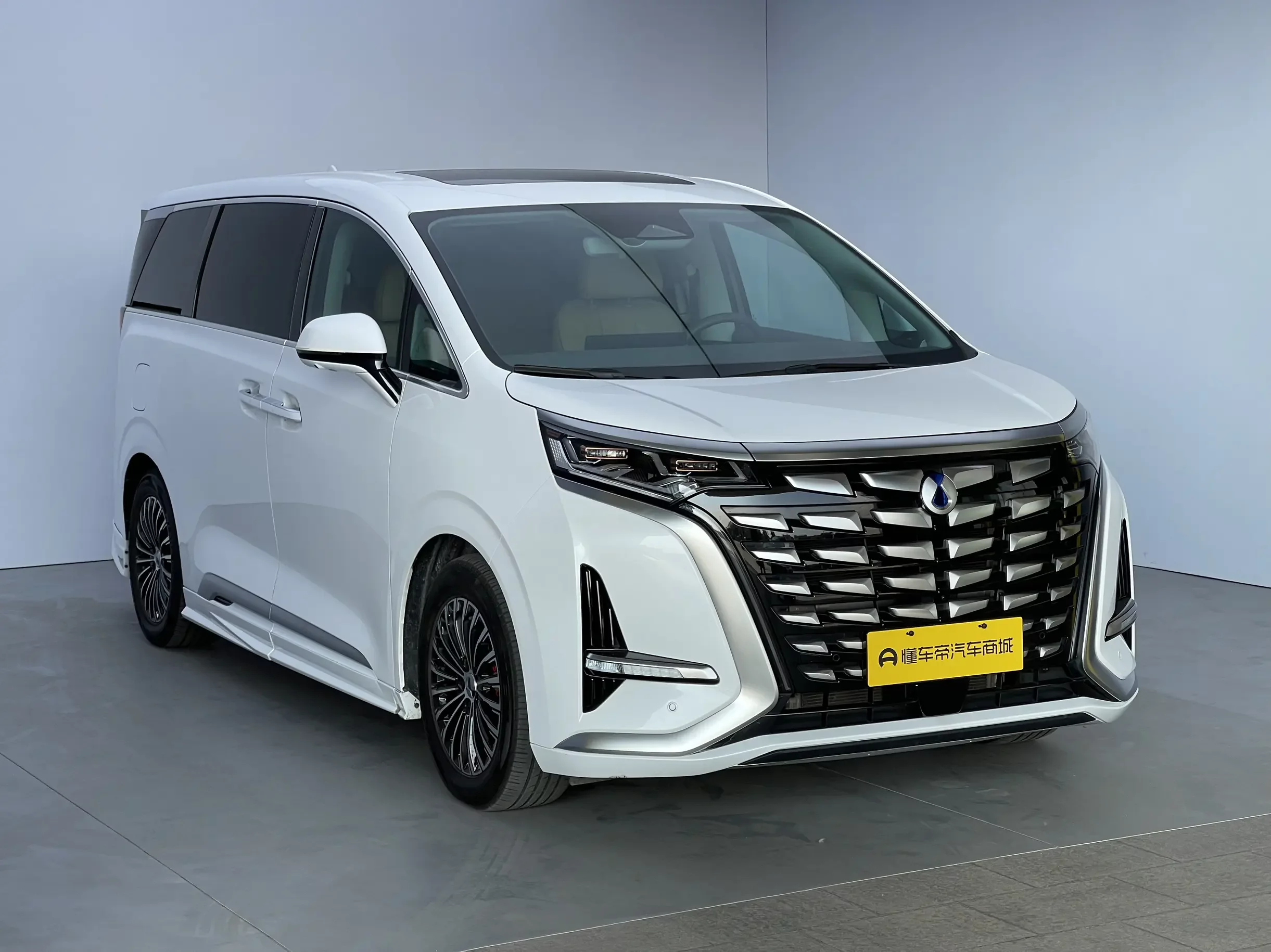 Denza D9 DM