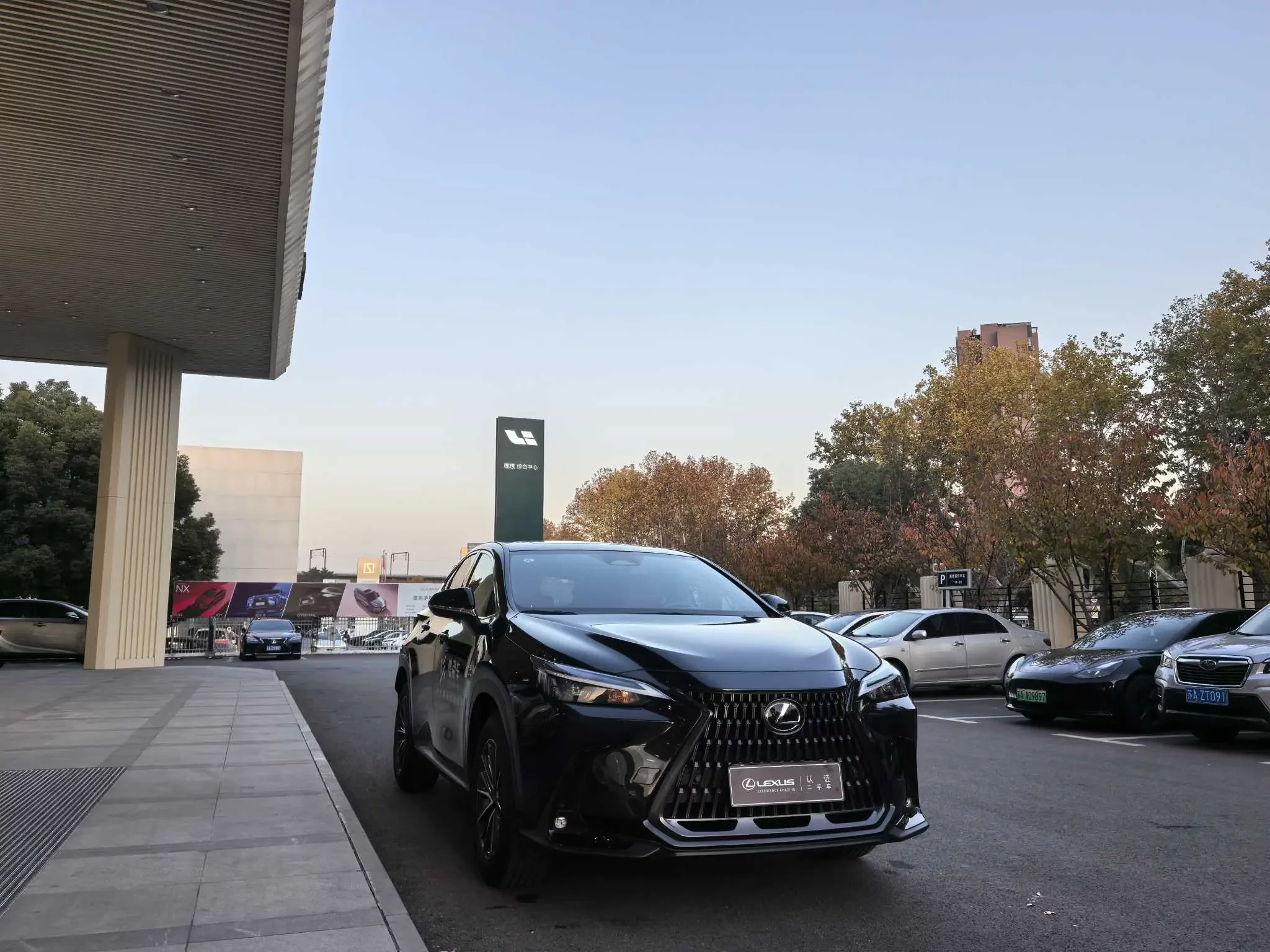 Lexus NX