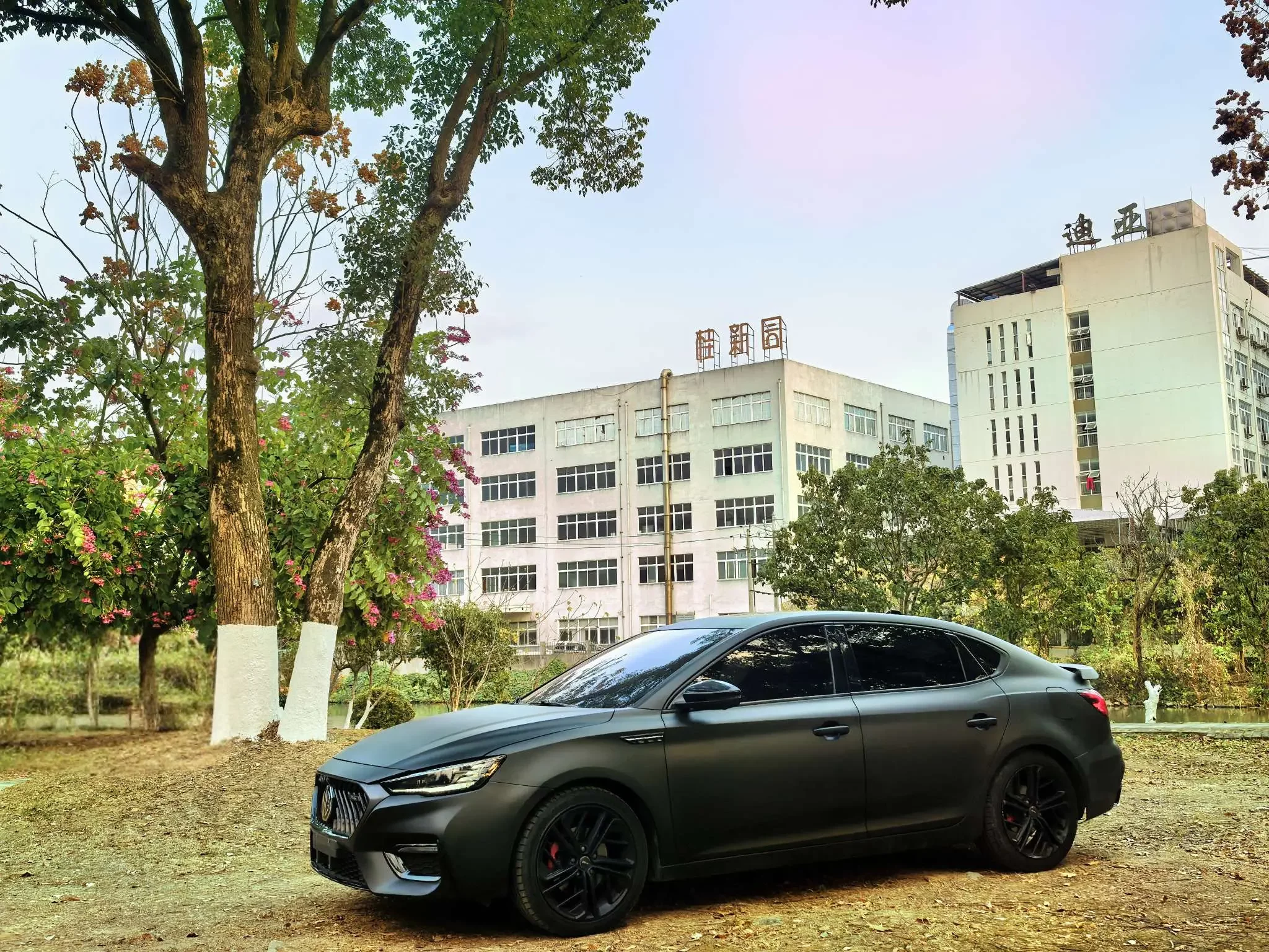 MG 6
