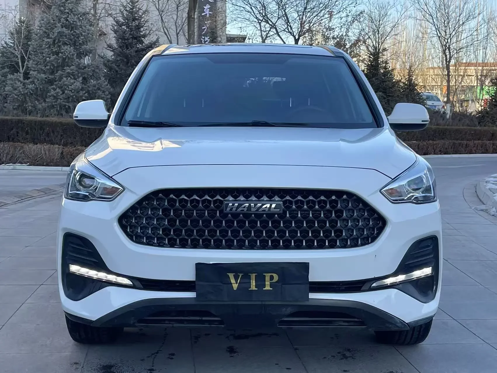 Haval M6